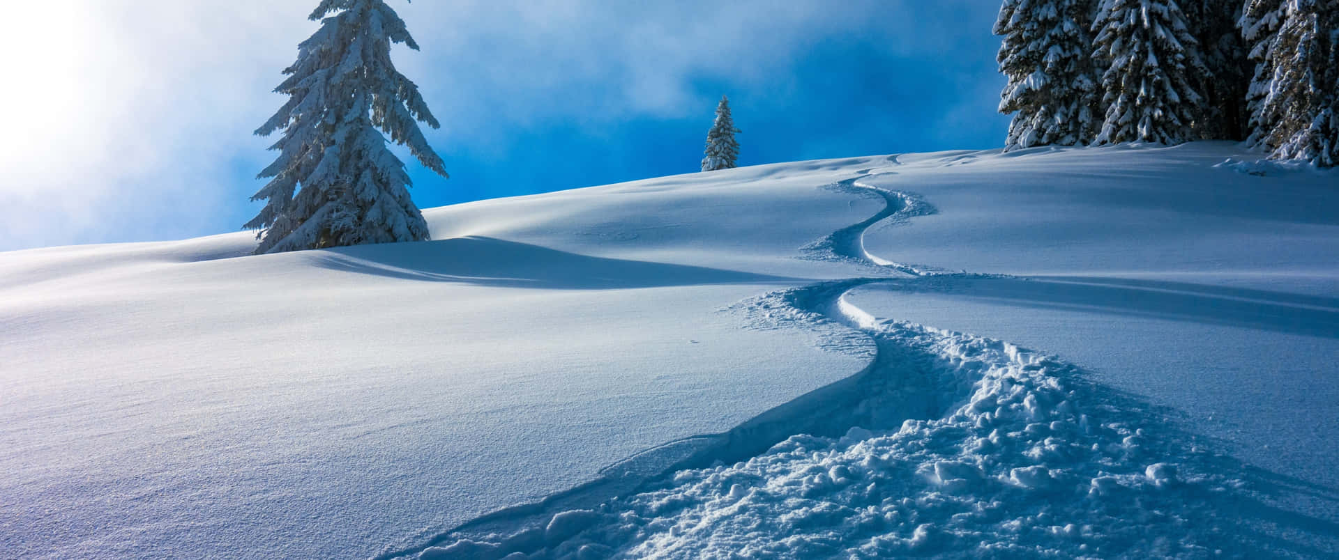 3440x1440 Hiver Fond d'écran