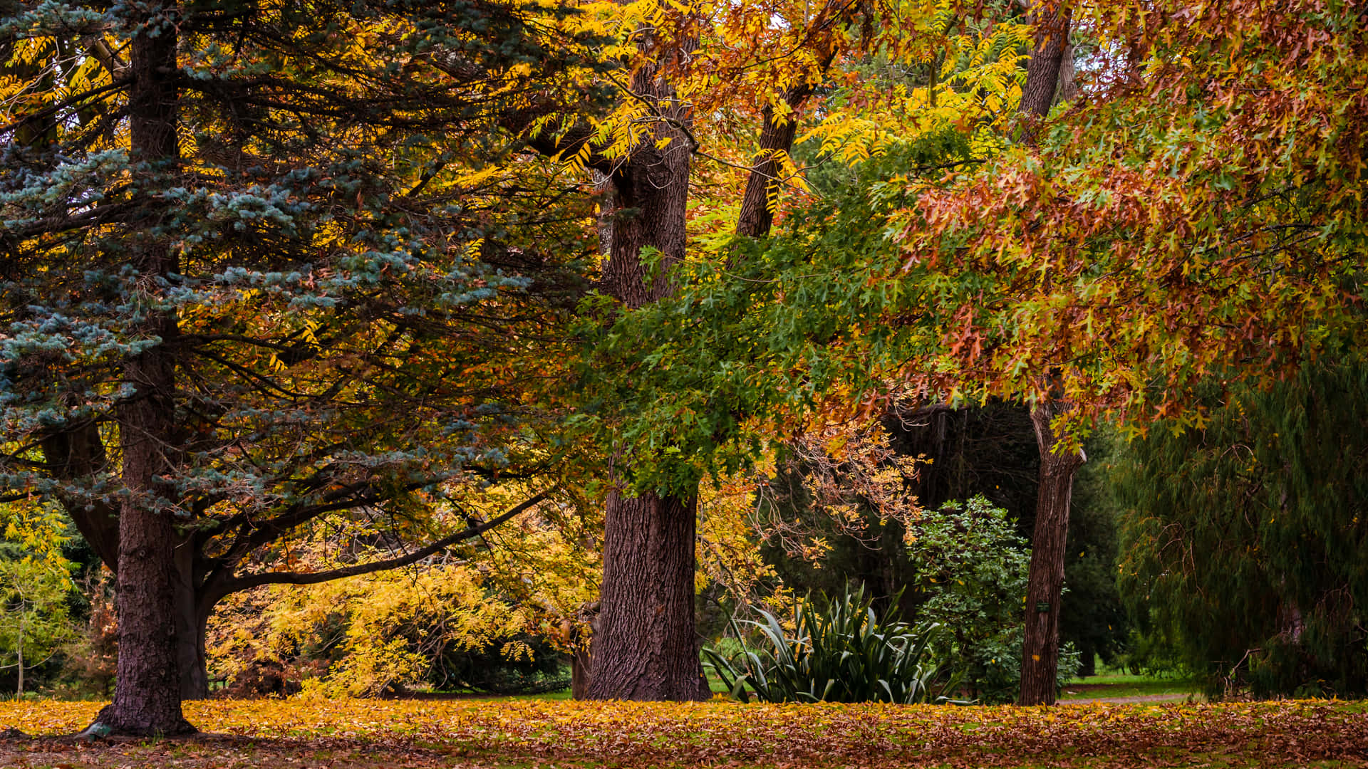 3840 X 2160 Herfst Achtergrond