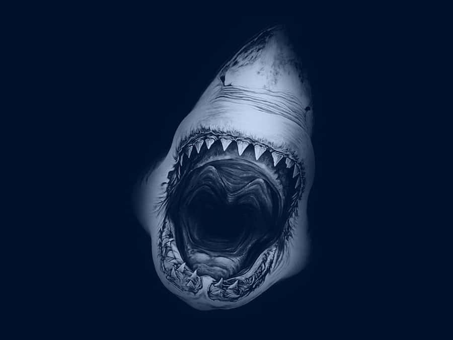 Top hơn 61 về hình nền cá mập megalodon mới nhất  cdgdbentreeduvn