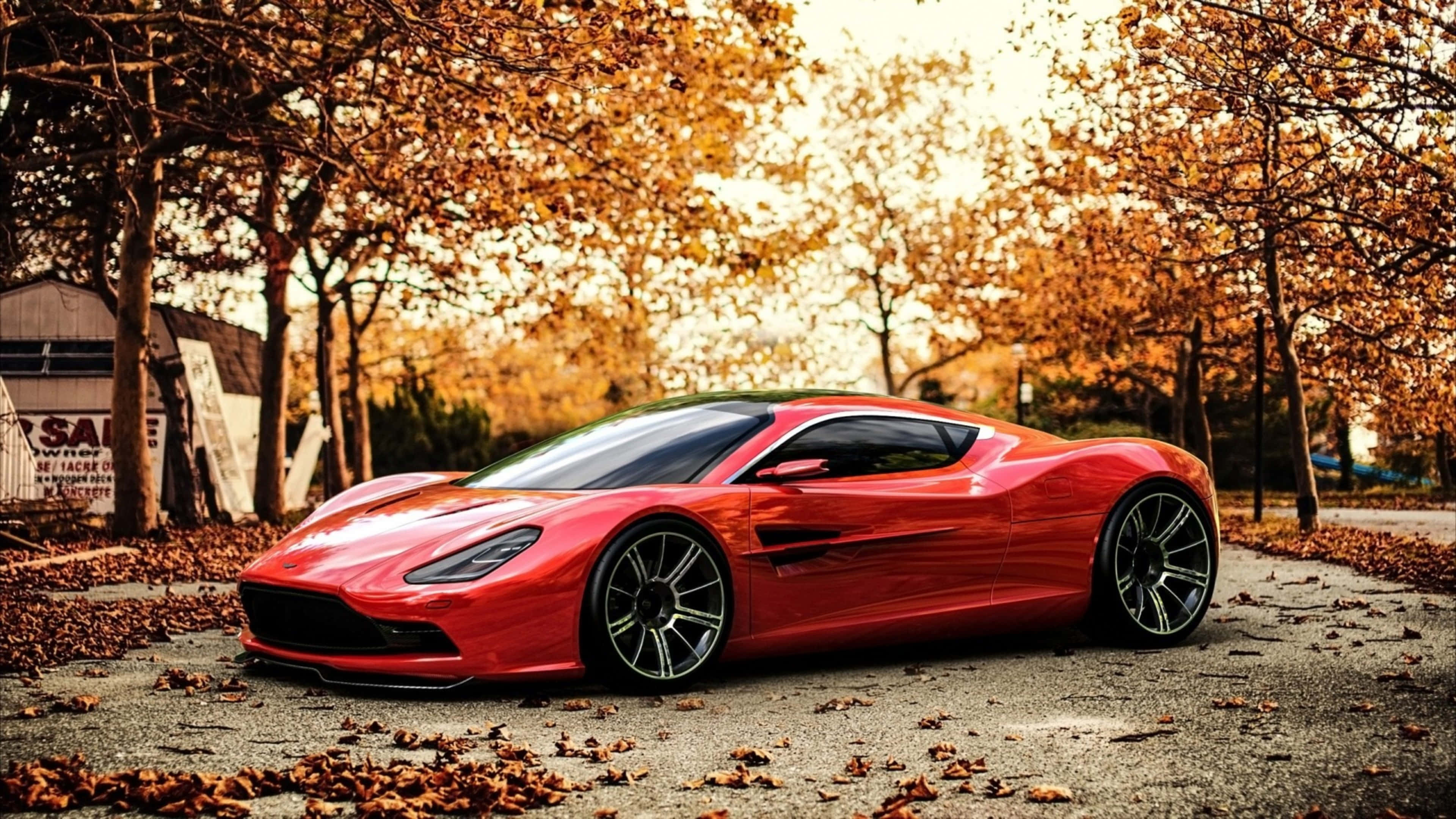 Red sports car parked on gravel path surrounded by autumn leaves and trees. — 4K Car Background