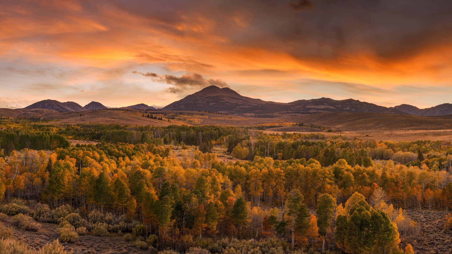 4k Herfst Achtergrond