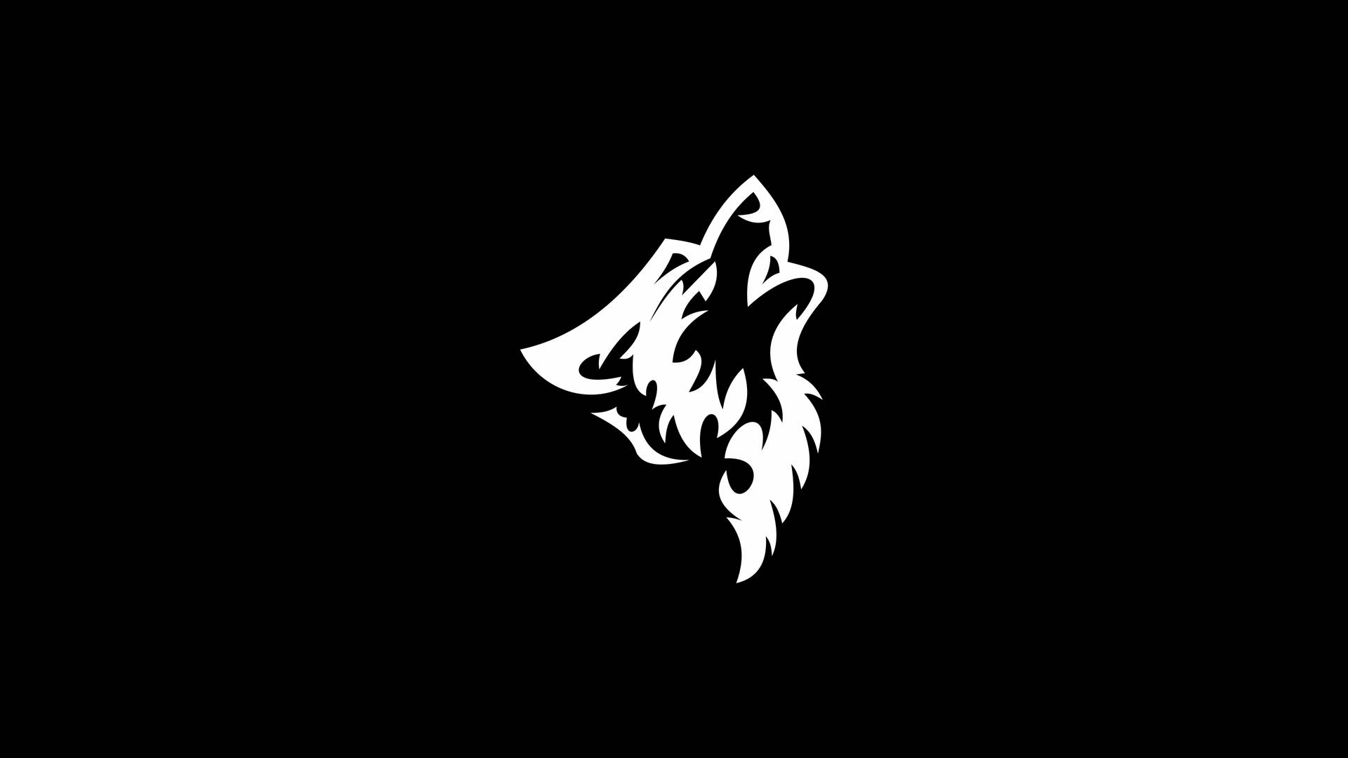 4k Ultra Hd Wolf Achtergrond