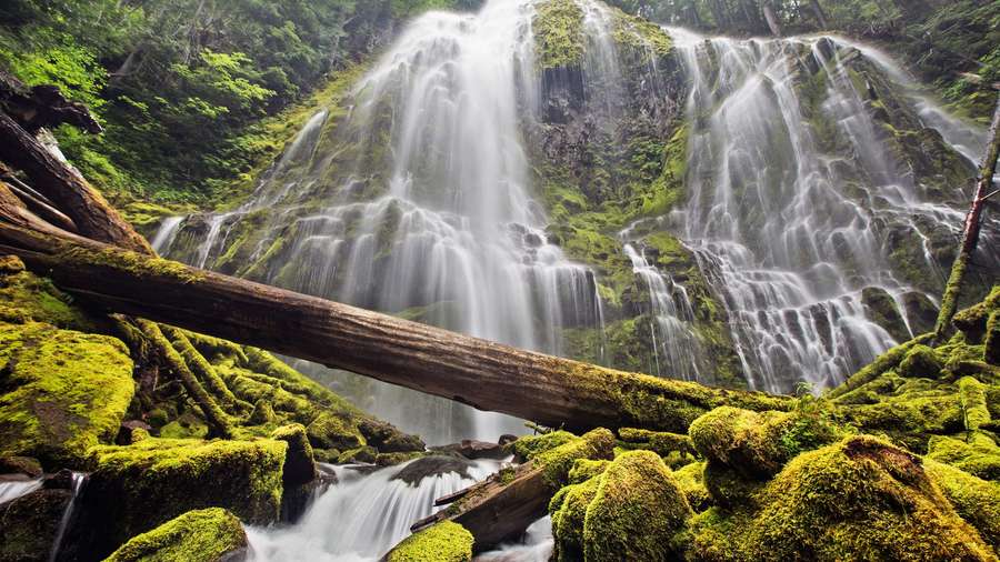 A powerful waterfall flows over moss-covered rocks in a dense green forest. — 4K Waterfall Wallpaper