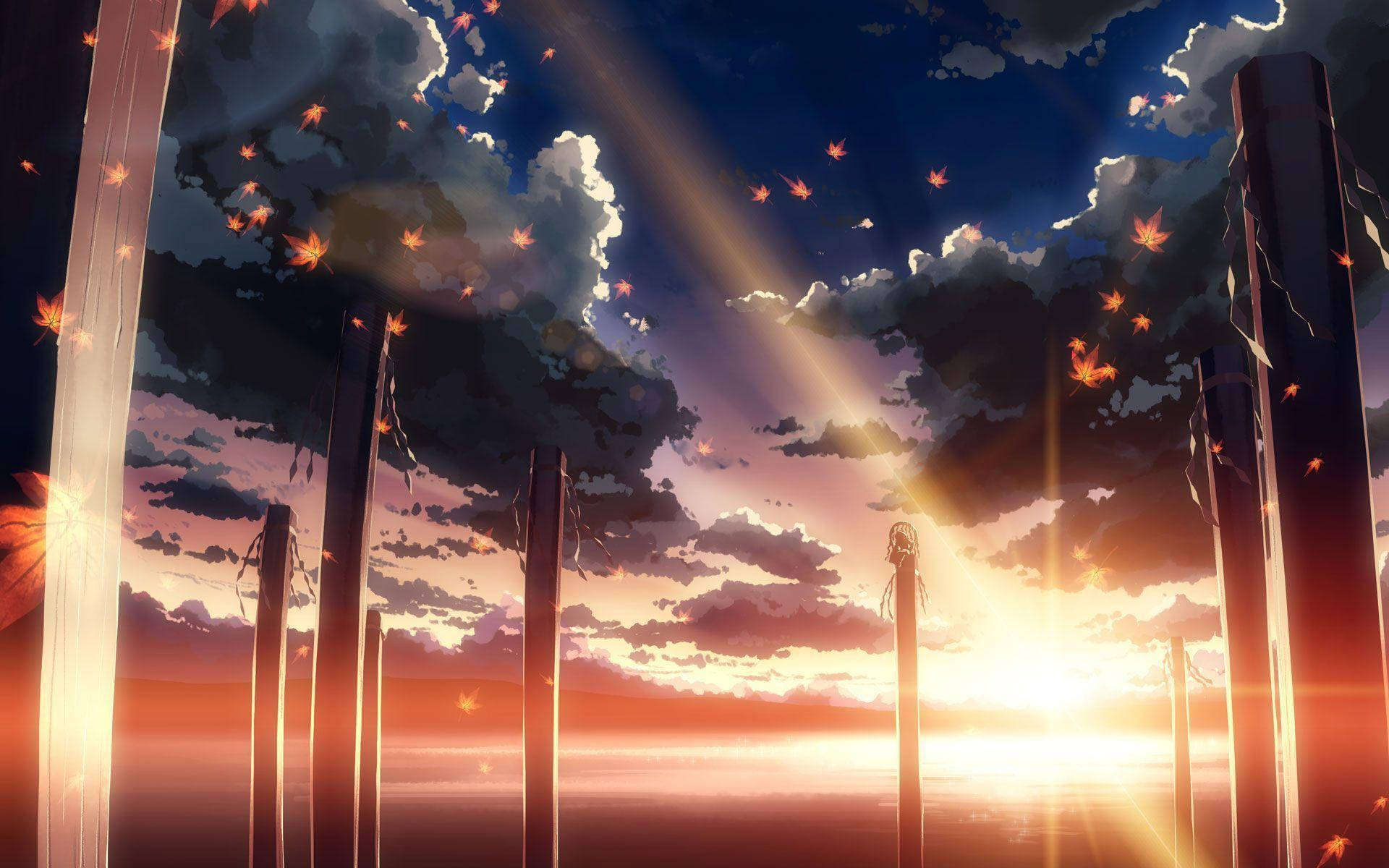 5 Centimeters Per Second Achtergrond