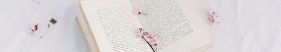 Open book surrounded by pink cherry blossoms on a white background. — 7680 X 1440 Wallpaper