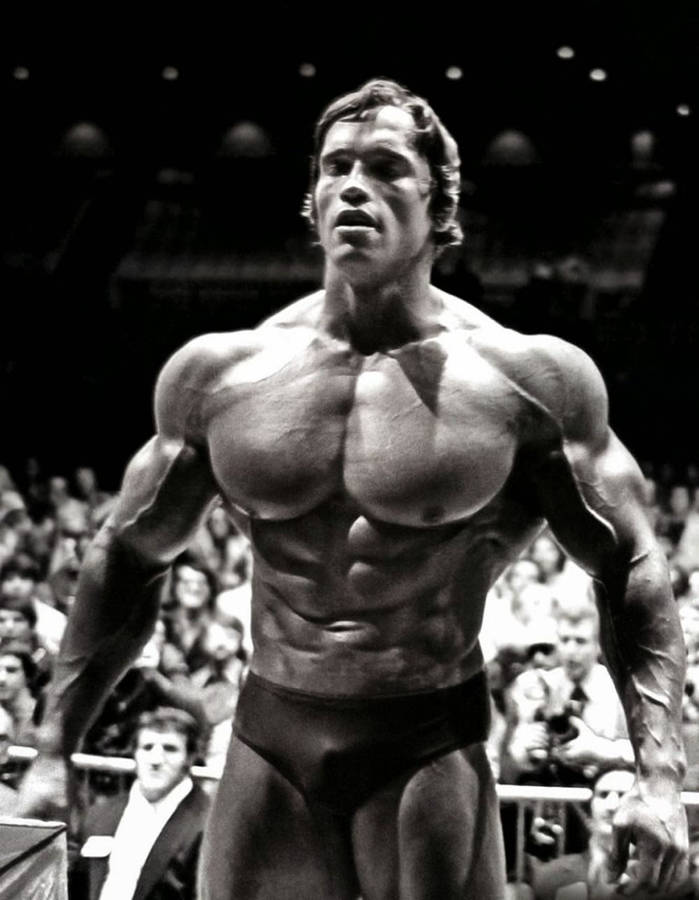 Free Arnold Wallpaper Downloads, [100+] Arnold Wallpapers for FREE |  