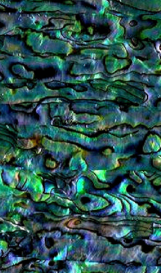Abalone Wallpaper