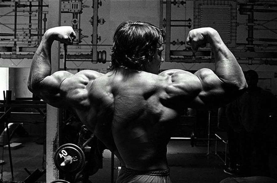 Um fisiculturista flexionando as costas e os braços em uma academia — Academia Papéis de Parede