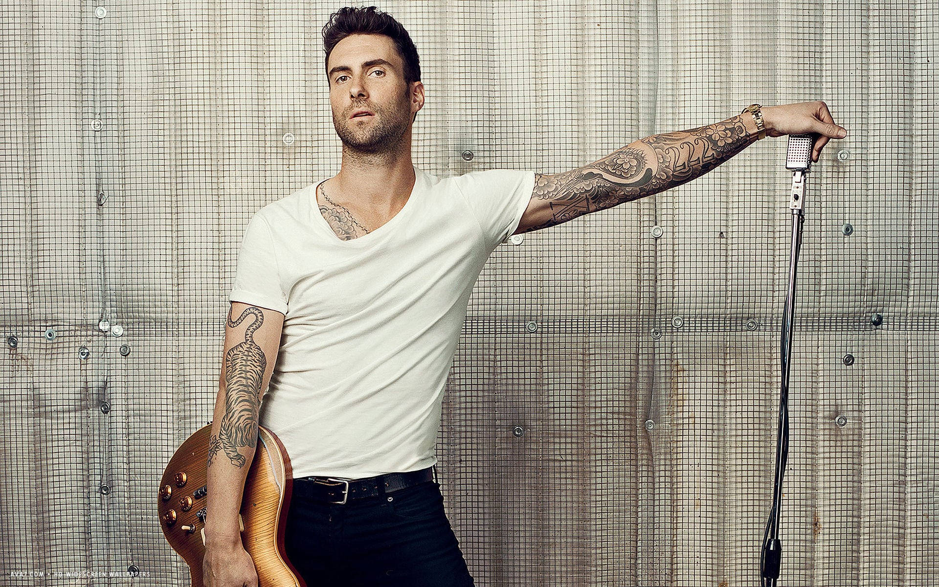 Adam Levine Achtergrond