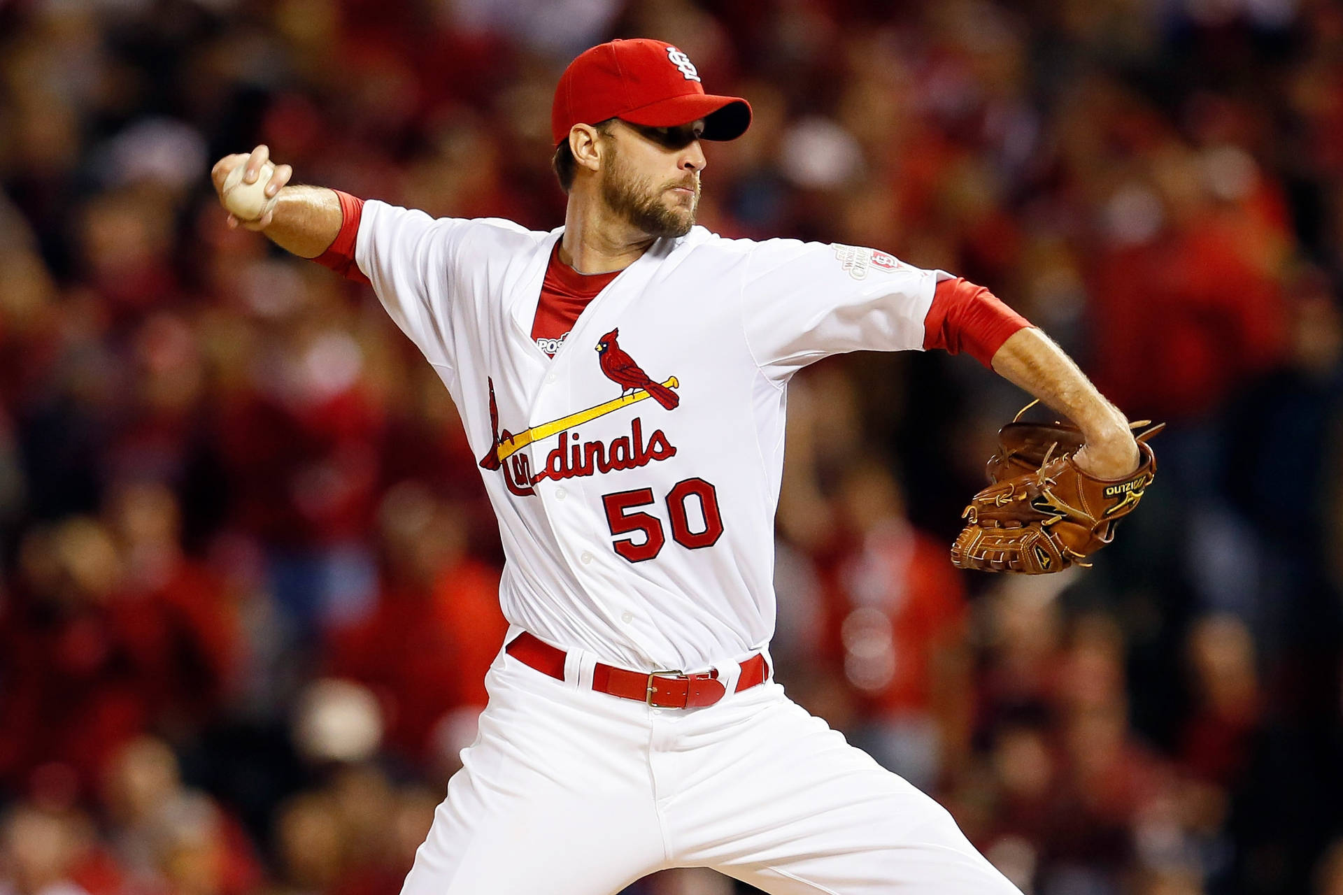 Adam Wainwright Taustakuva