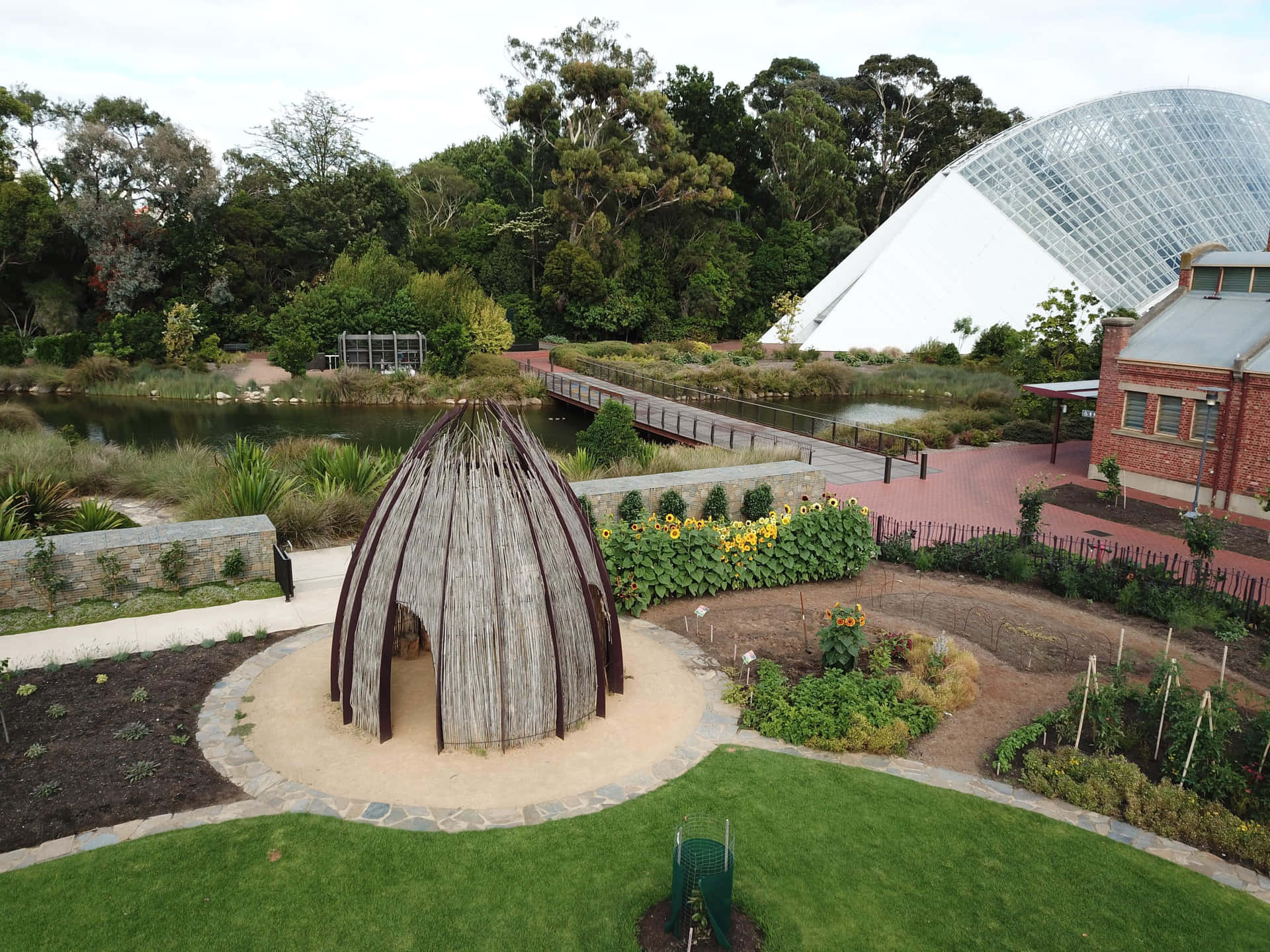 Adelaide Botanic Garden Bakgrunnsbildet