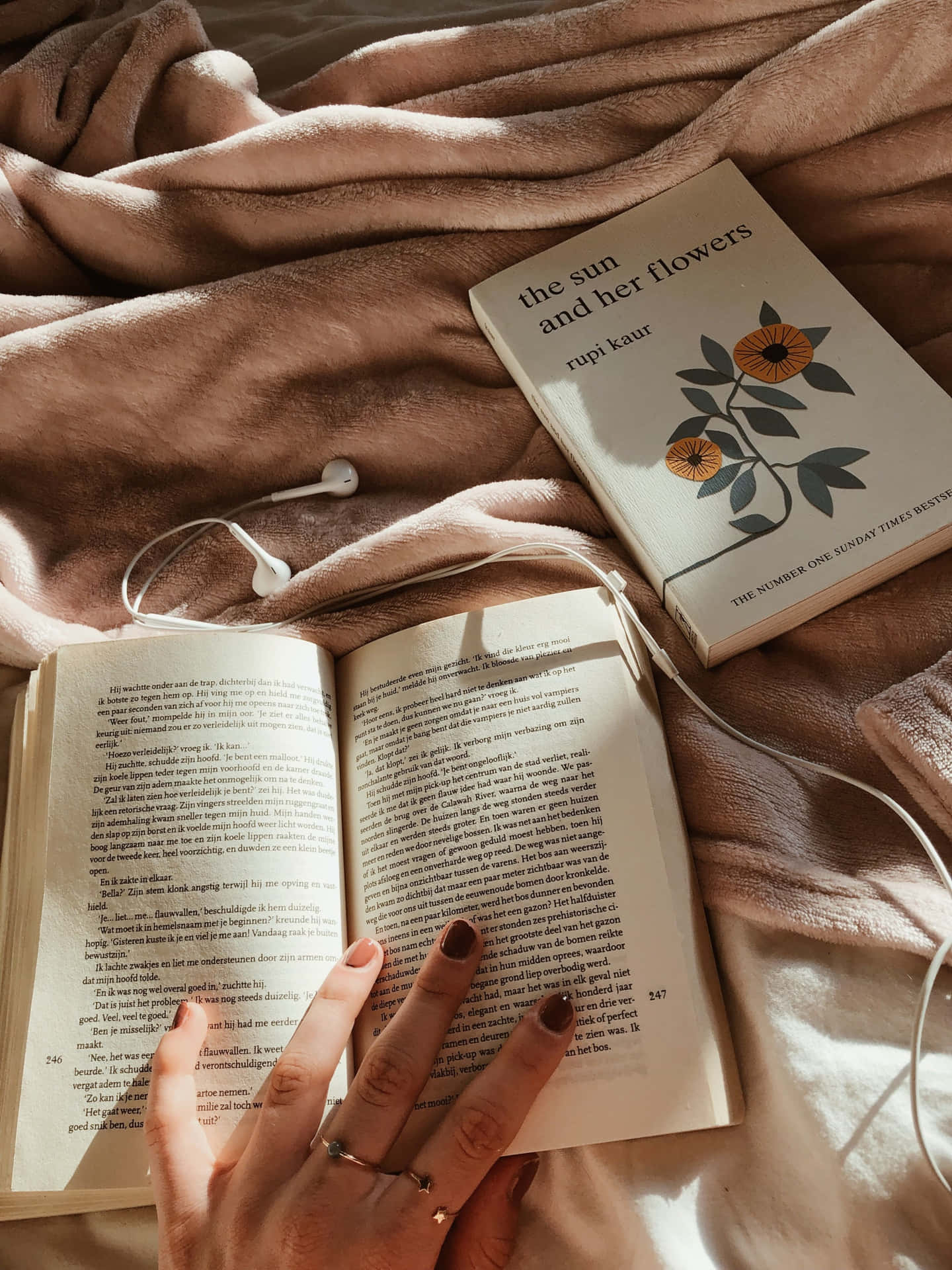 Book Pictures HQ  Download Free Images on Unsplash
