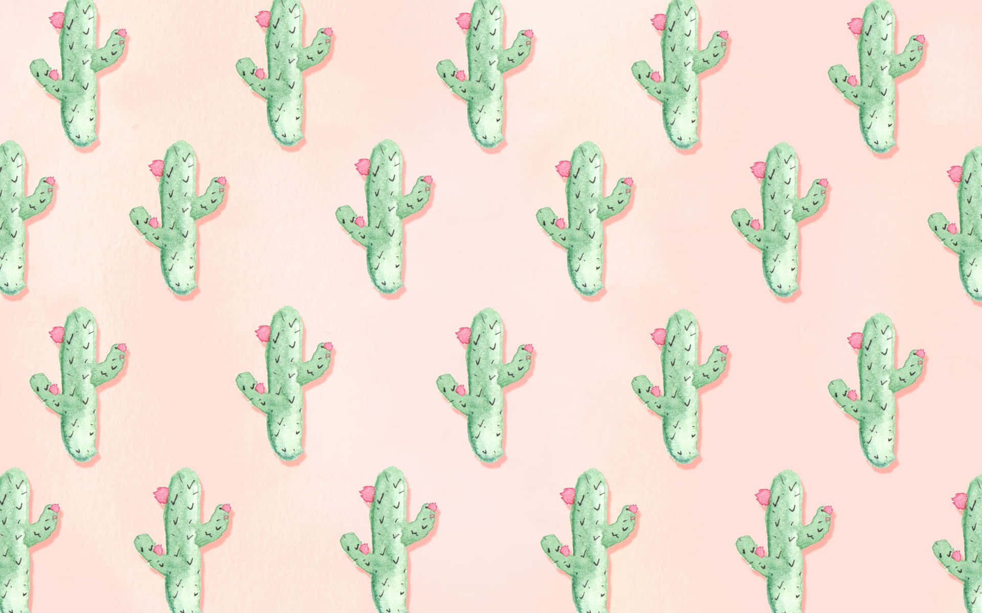 Aesthetic Cactus Achtergrond