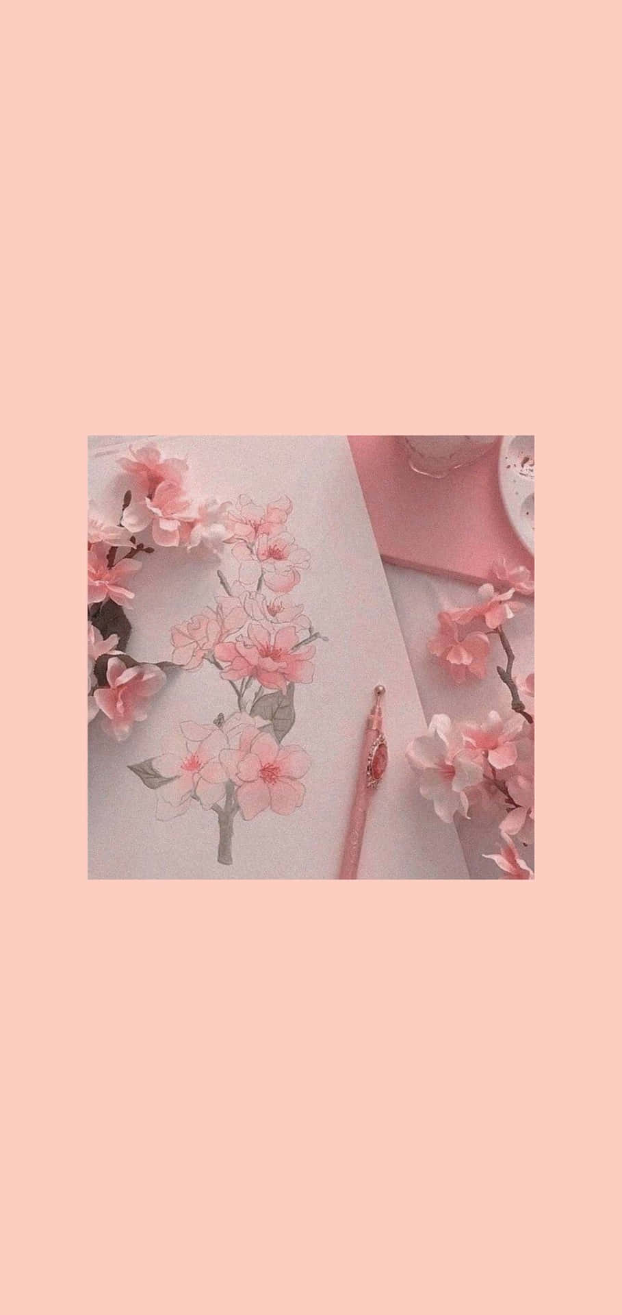 Aesthetic Cherry Blossom Wallpapers