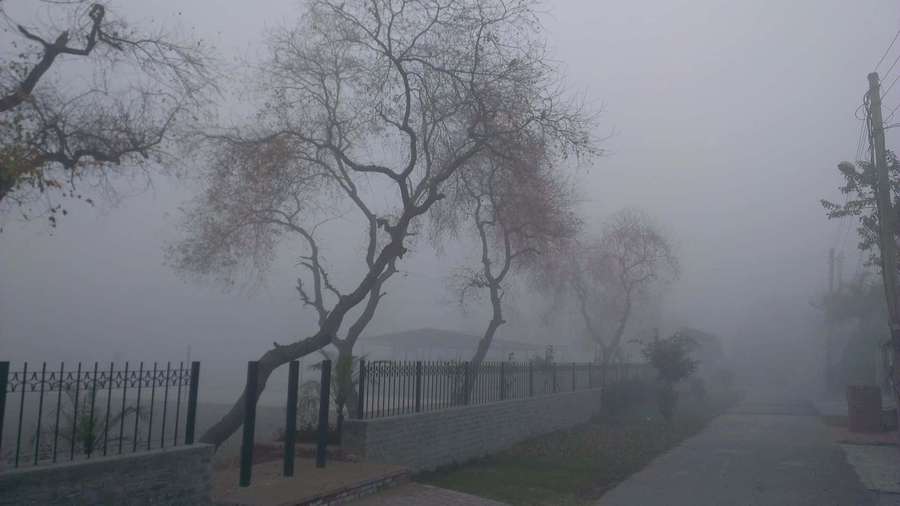 Foggy street with bare trees and a fence in the mist. — Aesthetic Gray Background