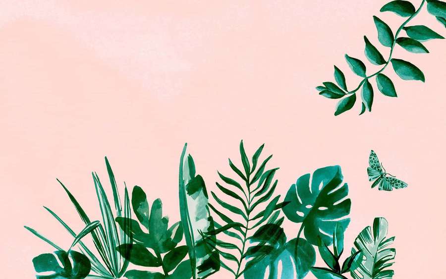 Tropical leaves and butterfly on pink watercolor background — Aesthetic Laptop Background