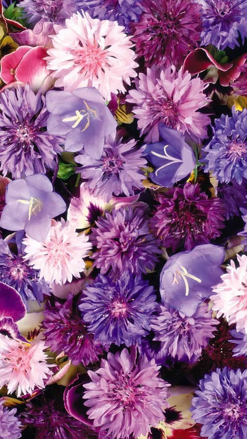 Aesthetic Purple Flower Background Wallpaper