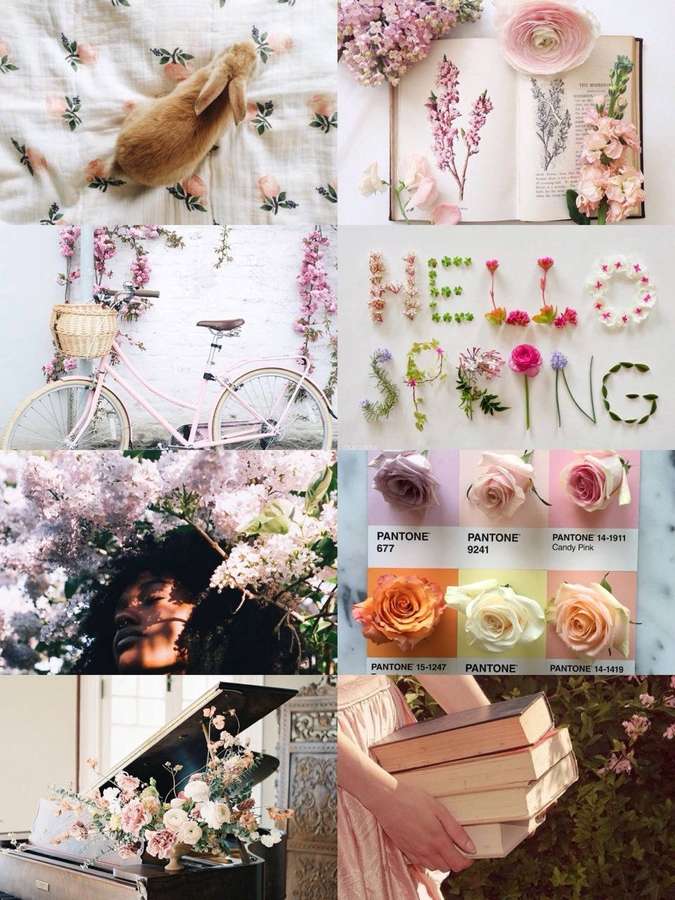 Spring collage with bunny, bike, flowers, color swatches, person, and books. — Aesthetic Spring Background