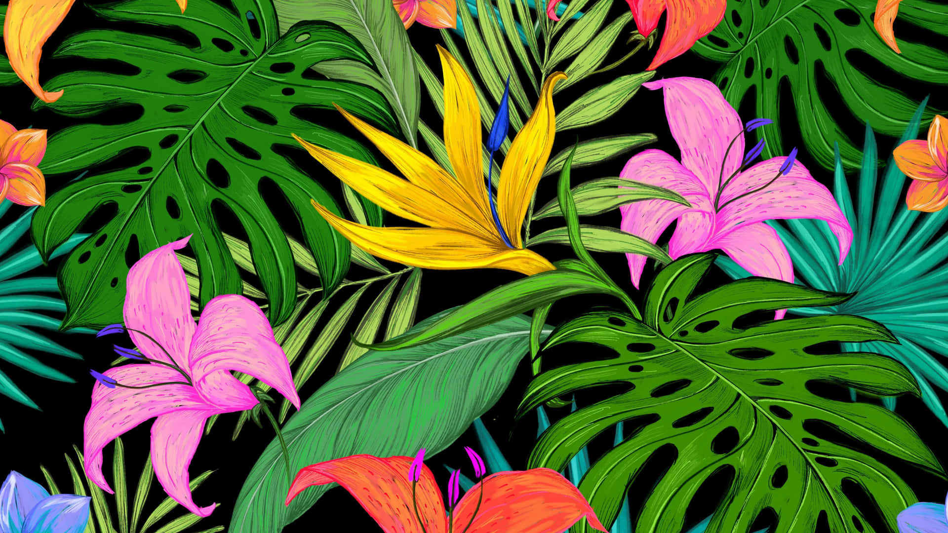 [100+] Aesthetic Tropical Wallpapers | Wallpapers.com