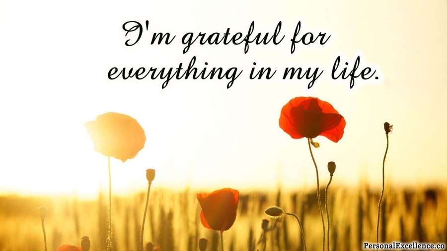 Grateful quote over sunlit poppies in golden field at sunset. — Affirmation Background
