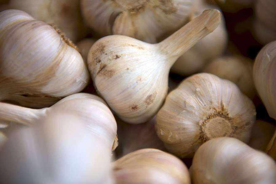 Bulbos de ajo fresco con pieles finas y manchas terrosas. — Ajo Fondos de pantalla
