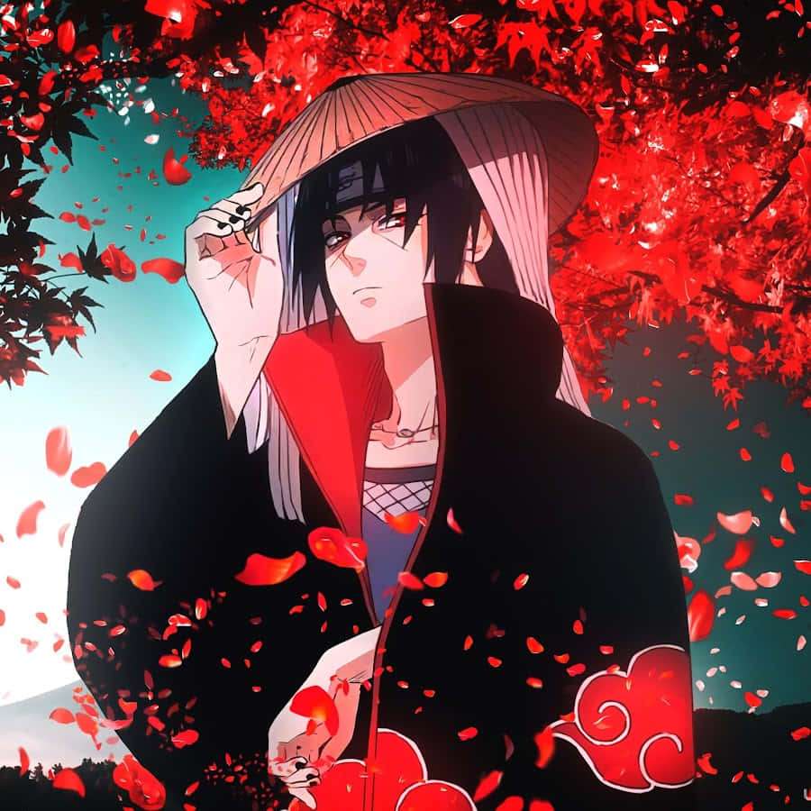 Anime character in black cloak with red clouds under falling red leaves. — Akatsuki Hat Wallpaper