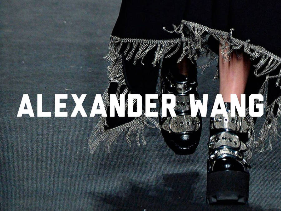 Alexander Wang Achtergrond