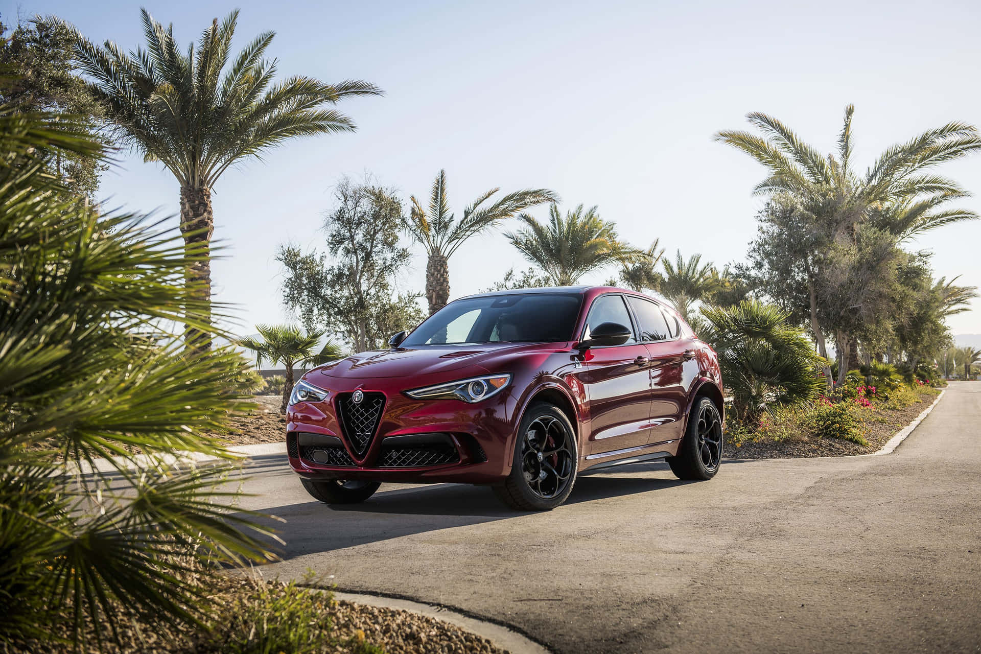 Alfa Romeo Stelvio Fond d'écran