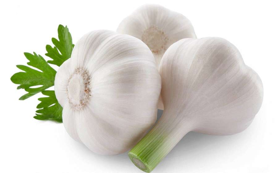 Três bulbos de alho com caules verdes e folhas de salsa em fundo branco. — Alho Papéis de Parede