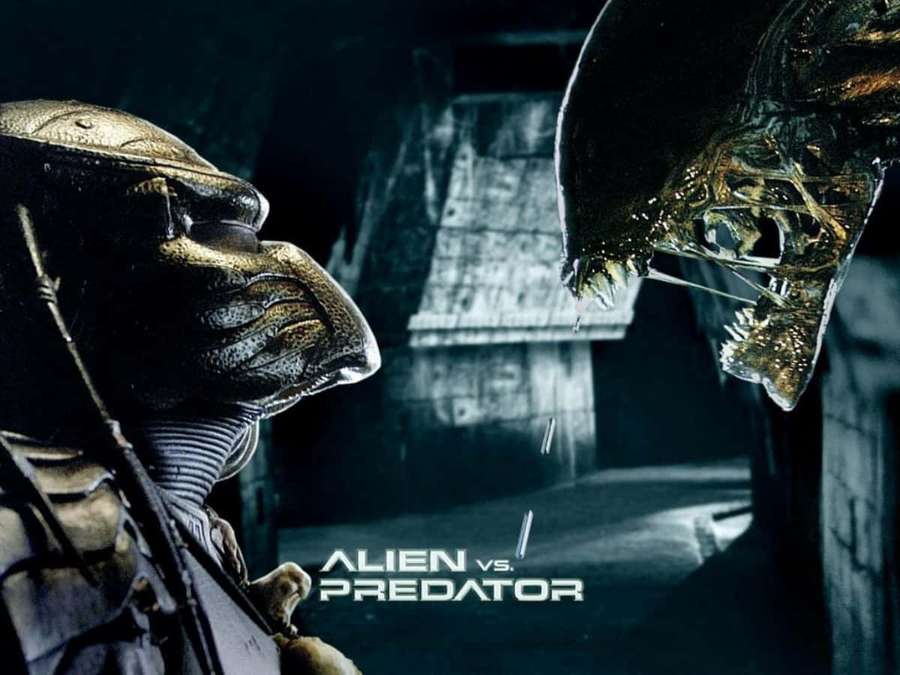Alien y depredador en un tenso enfrentamiento en un ambiente industrial con poca luz. — Alien Vs Predator Fondos de pantalla