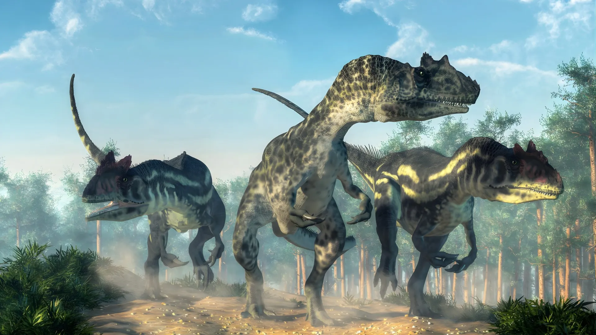 Allosaurus Wallpapers