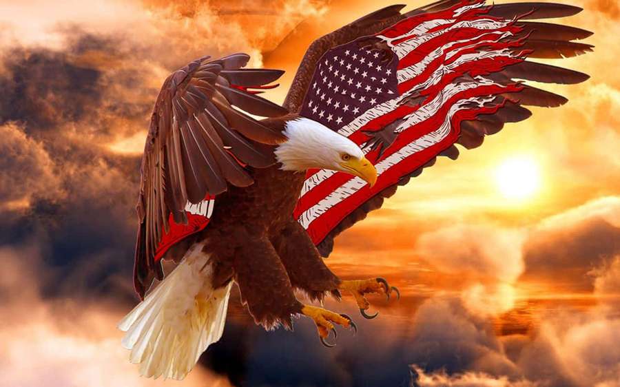 Valkopäämerikotka Yhdysvaltain lipun siivellä leijuu auringonlaskussa — American Eagle Taustakuvat