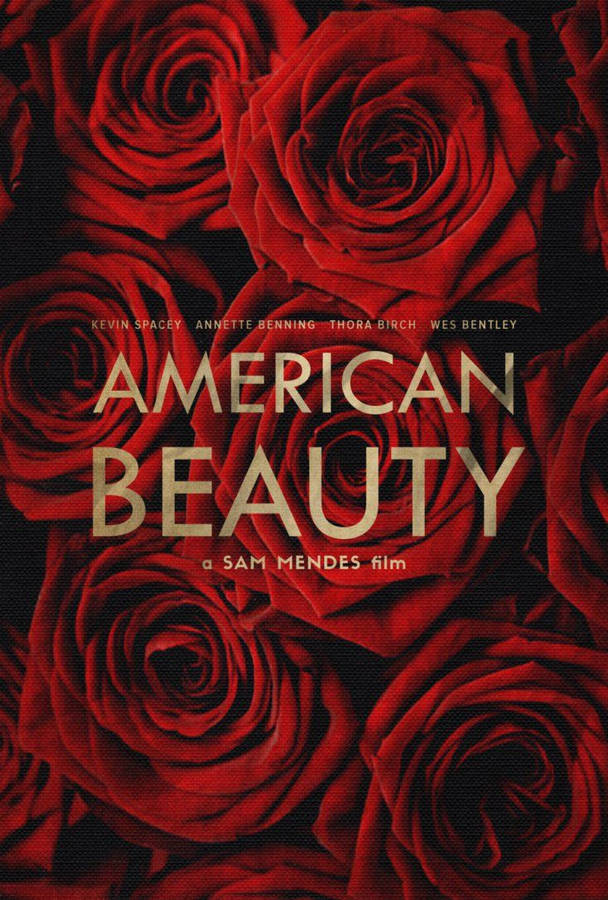 Amerikansk Skønhed Wallpaper