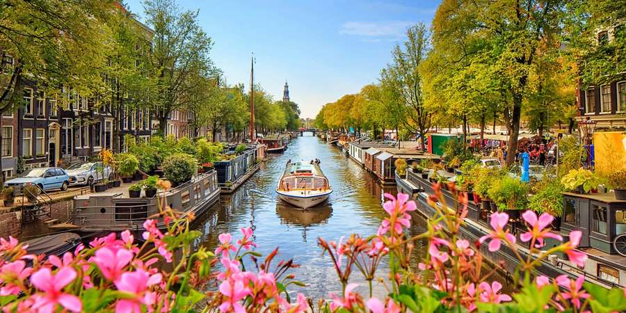 Canal in Amsterdam with boats and pink flowers in foreground under sunny sky. — Amsterdam Spring Wallpaper