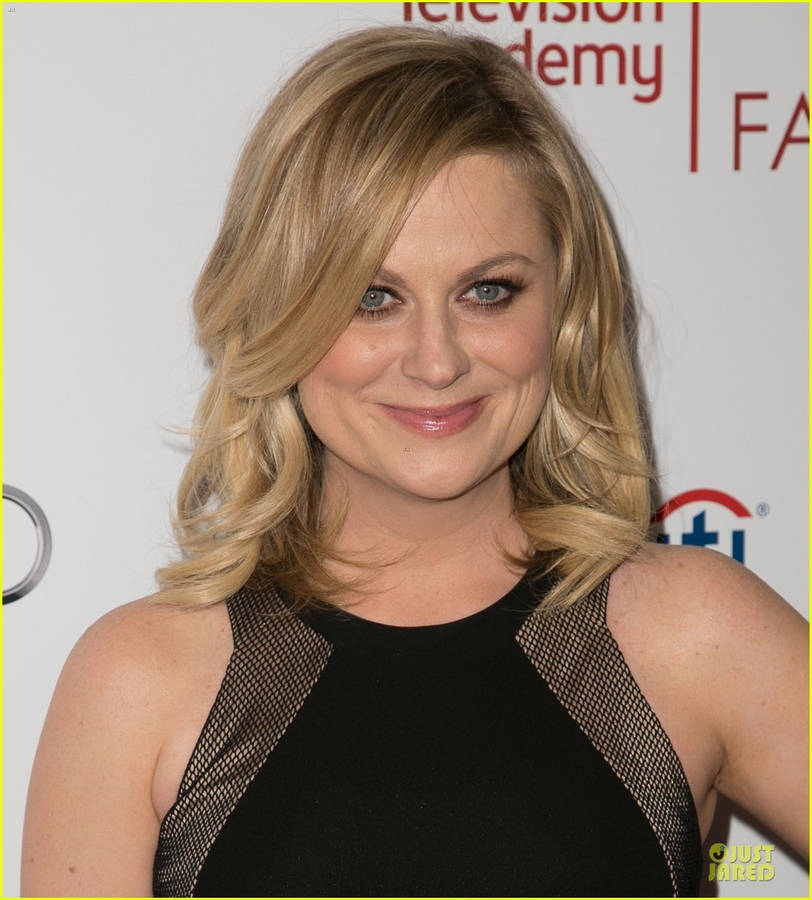 Amy Poehler Pictures Wallpaper