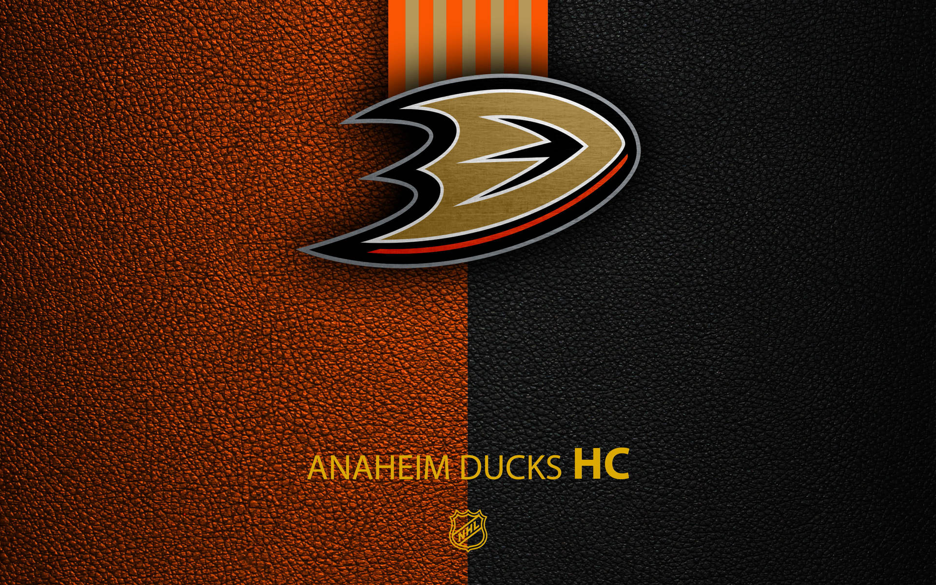 Anaheim Ducks Bilder