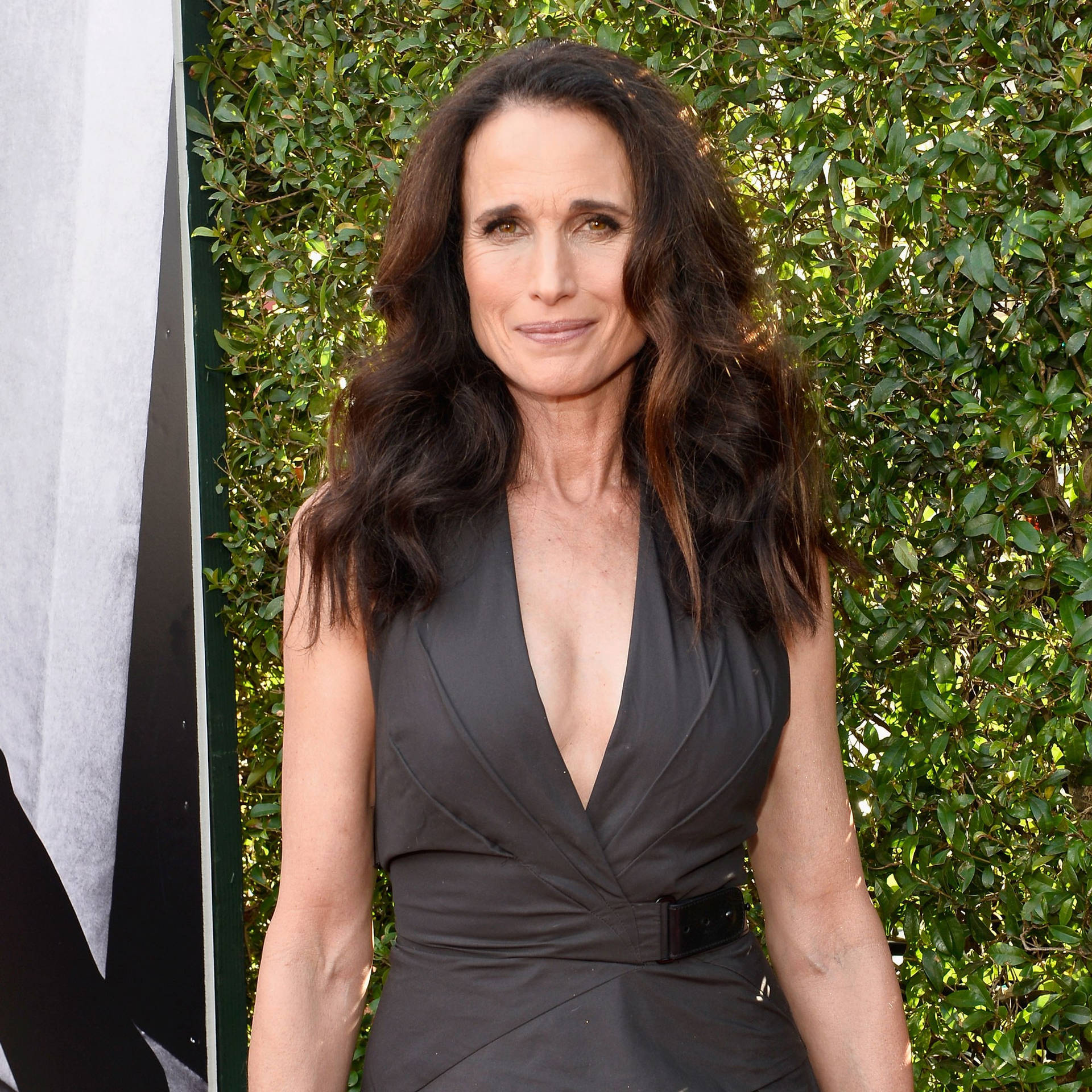 Andie Macdowell Taustakuva