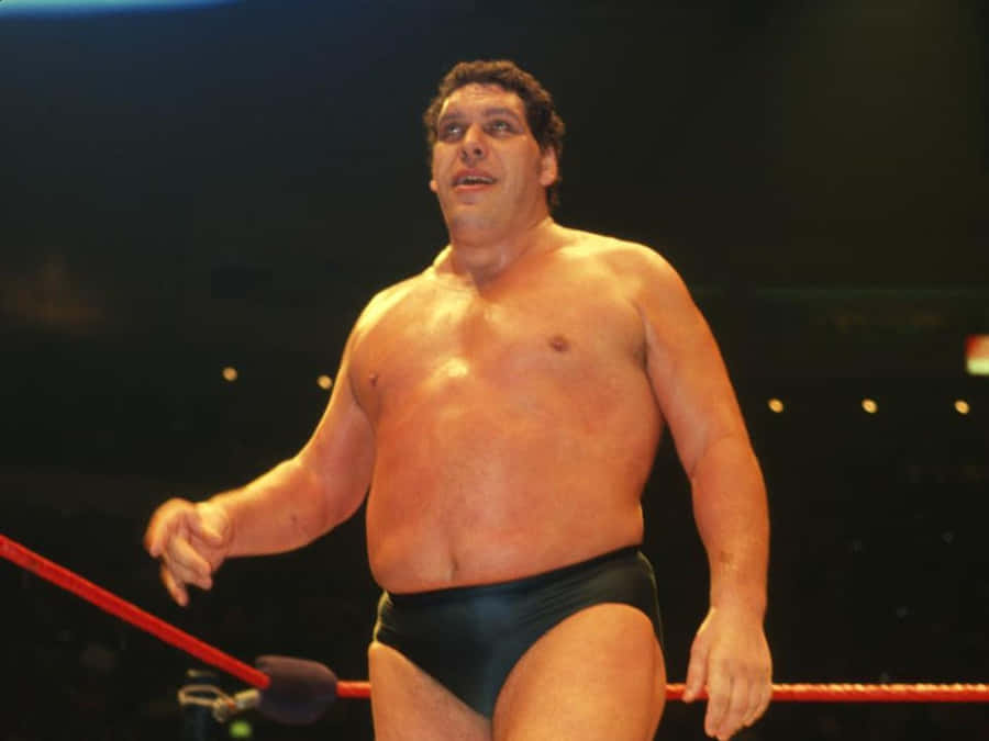 Andre The Giant Fond d'écran