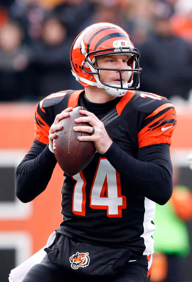 Andy Dalton Fond d'écran