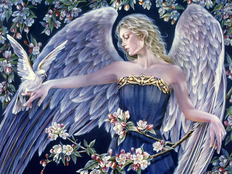 An angel in a blue gown holds a dove surrounded by flowering branches. — Angel Picture