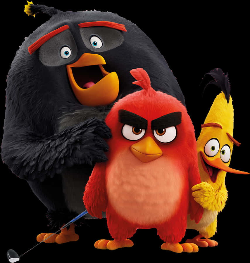 Angry Birds Png
