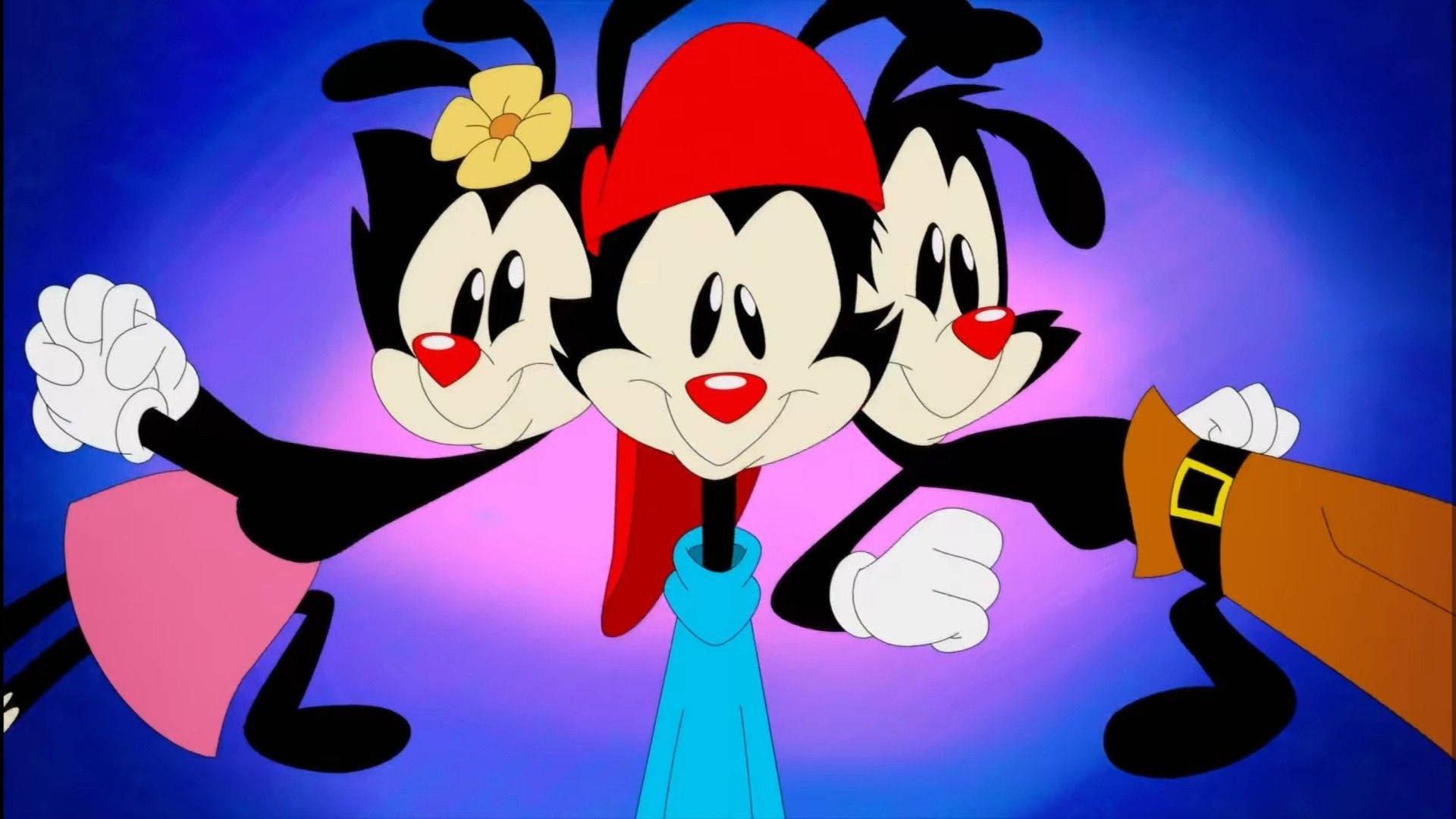 Animaniacs Wallpaper Images