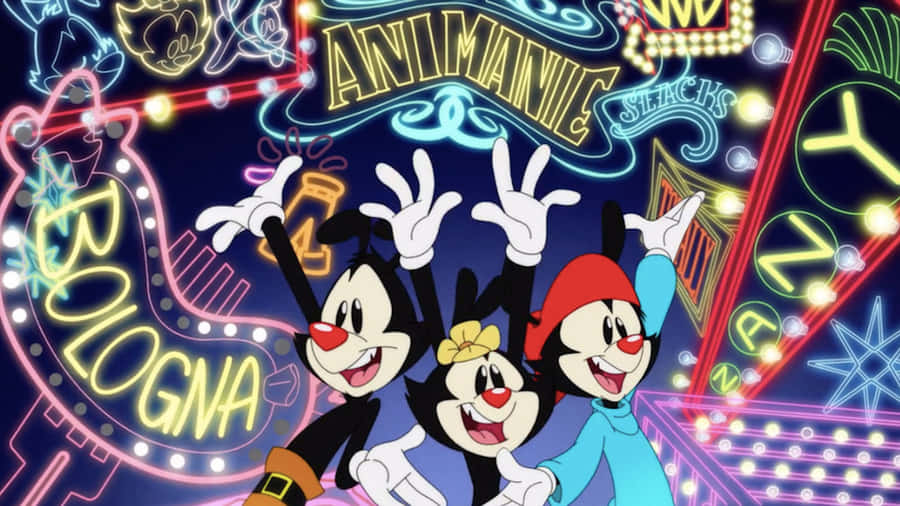 Animaniacs Pictures Wallpaper