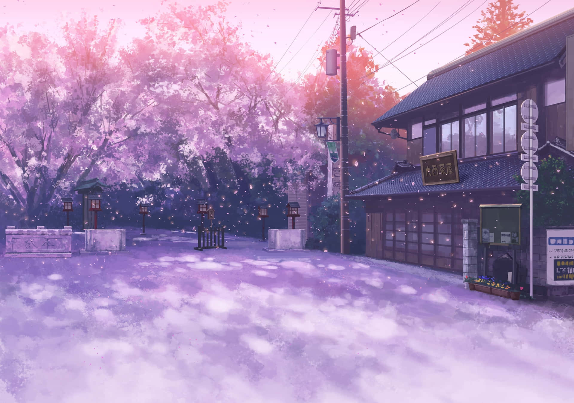 Anime Cherry Blossom Bakgrund