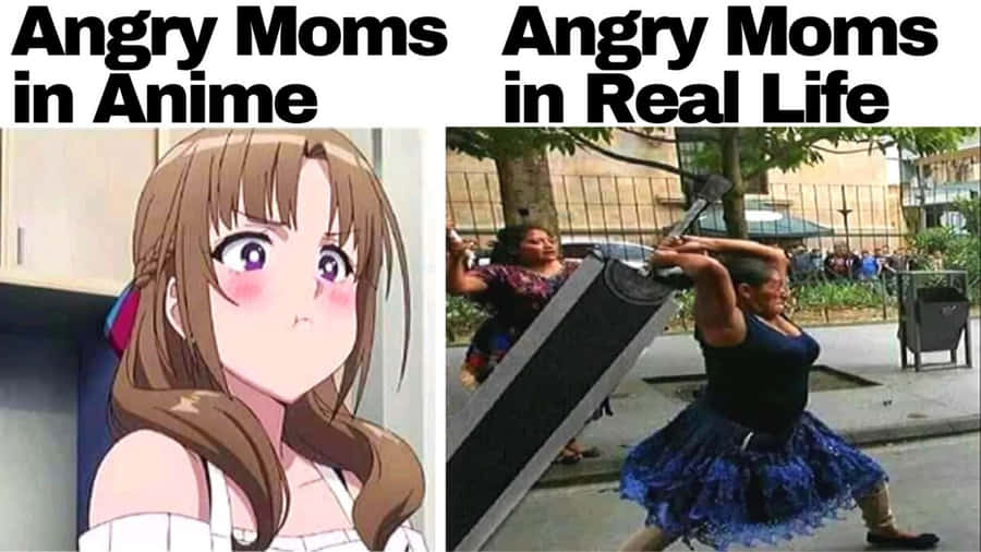 Anime Meme Pictures Wallpaper