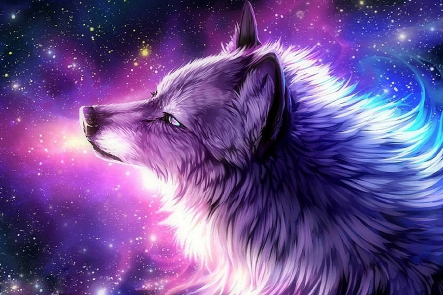 Galaxy Anime Fox on Dog fox and wolf drawings HD phone wallpaper  Pxfuel