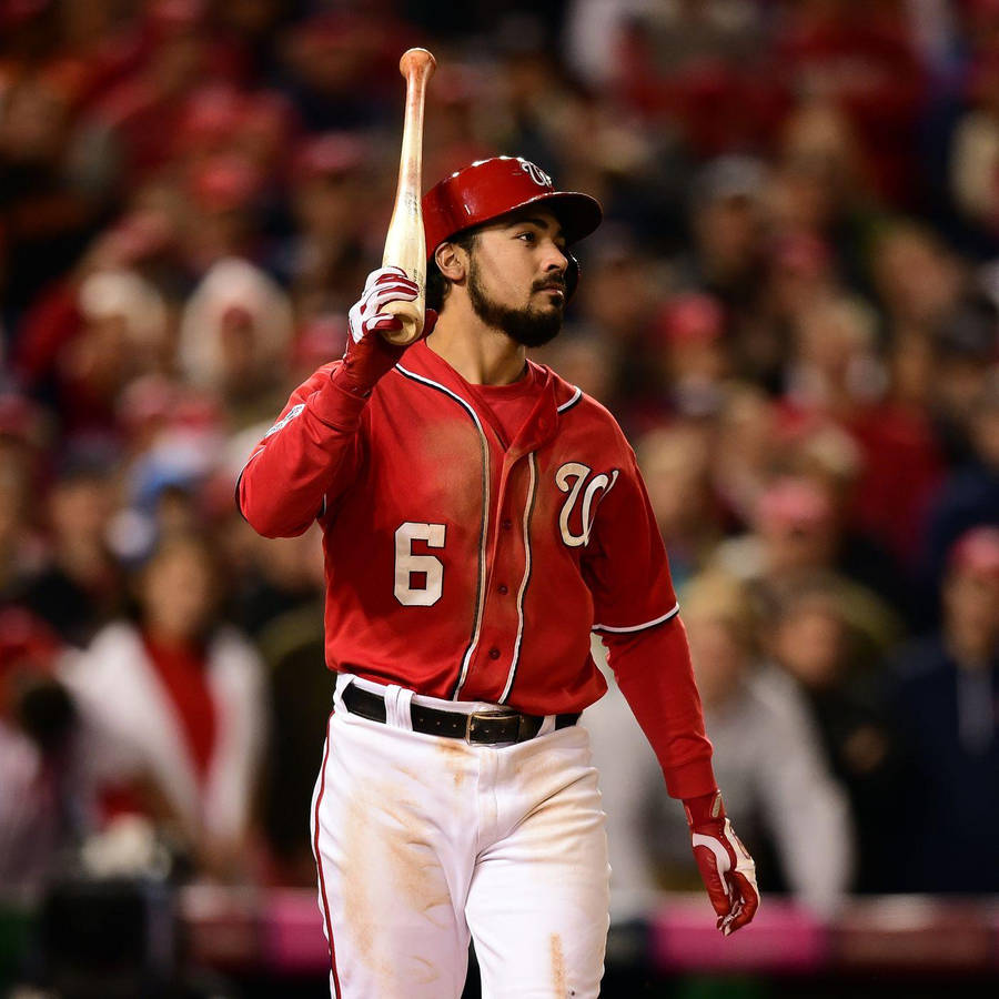 Anthony Rendon Fond d'écran