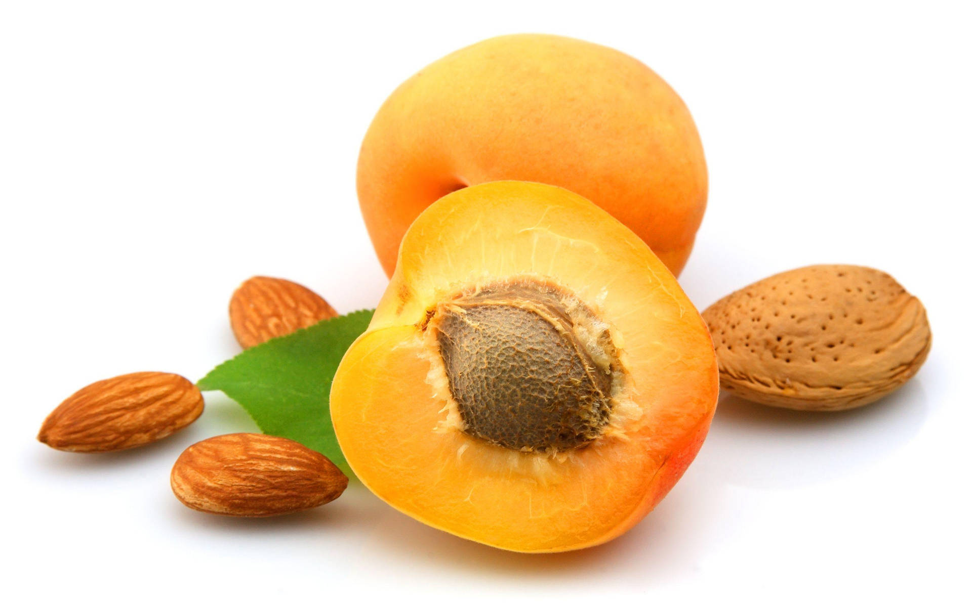Apricot Background Wallpaper