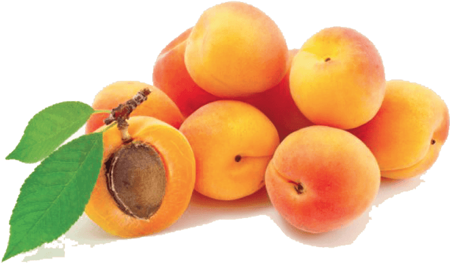 Apricot Png