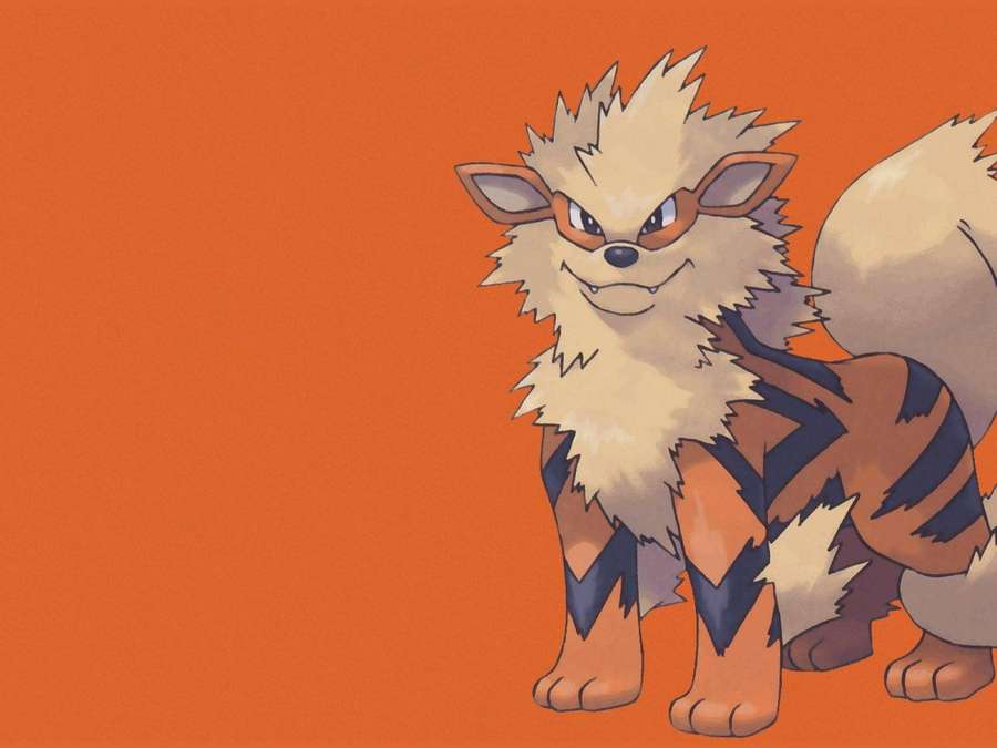 Arcanine Plain Orange Background — Arcanine Wallpaper